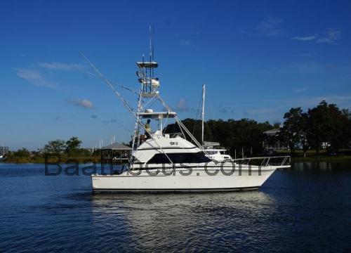 Bertram 37 	Spesifikasjoner og anmeldelser